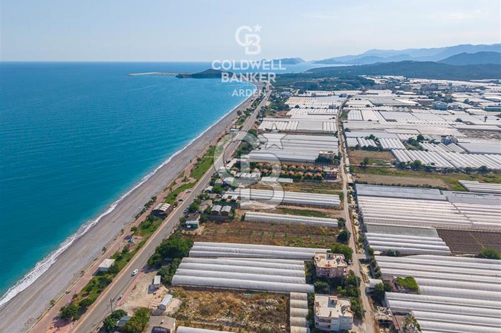 ANTALYA DEMRE TAŞDİBİ DENİZE 100 METRE KONUMDA SATILIK TARLA
