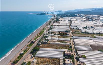 ANTALYA DEMRE TAŞDİBİ DENİZE 100 METRE KONUMDA SATILIK TARLA