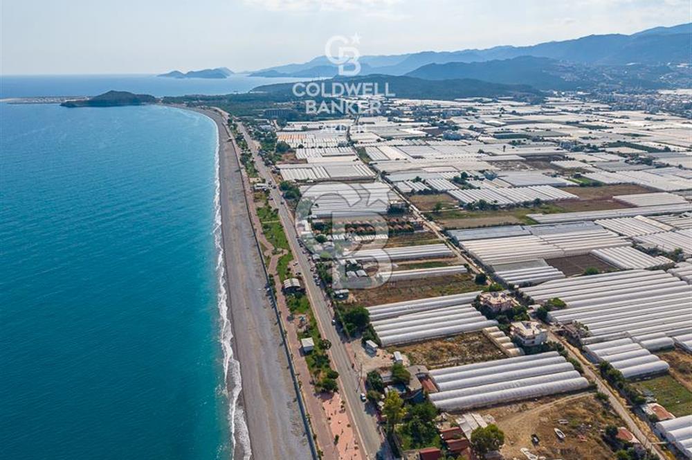 ANTALYA DEMRE TAŞDİBİ DENİZE 100 METRE KONUMDA SATILIK TARLA