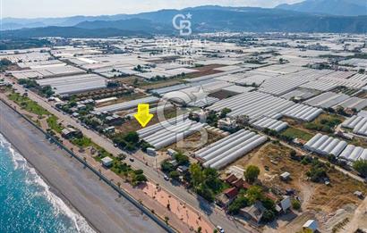 ANTALYA DEMRE TAŞDİBİ DENİZE 100 METRE KONUMDA SATILIK TARLA