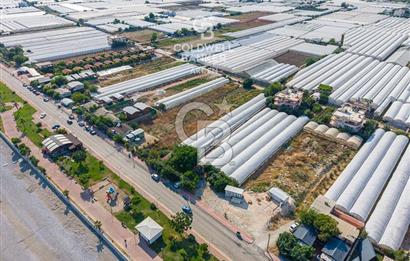ANTALYA DEMRE TAŞDİBİ DENİZE 100 METRE KONUMDA SATILIK TARLA