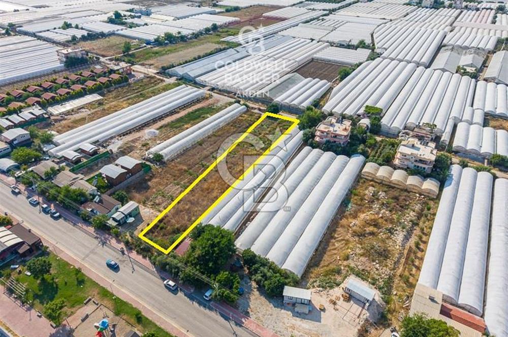 ANTALYA DEMRE TAŞDİBİ DENİZE 100 METRE KONUMDA SATILIK TARLA