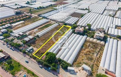 ANTALYA DEMRE TAŞDİBİ DENİZE 100 METRE KONUMDA SATILIK TARLA