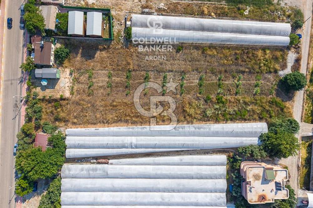 ANTALYA DEMRE TAŞDİBİ DENİZE 100 METRE KONUMDA SATILIK TARLA
