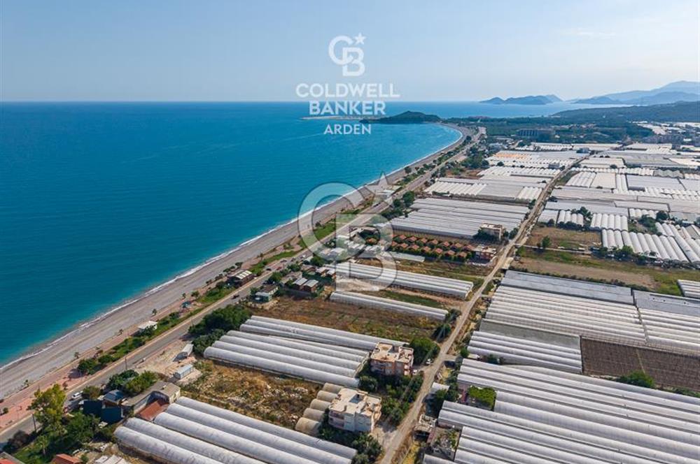 ANTALYA DEMRE TAŞDİBİ DENİZE 100 METRE KONUMDA SATILIK TARLA