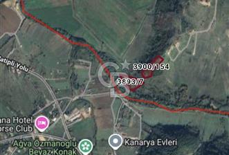 ŞİLE BUCAKLI - 2 - 360683