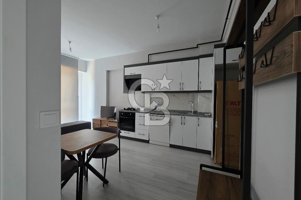 Seyrek Üniversite Yakını Sıfır ve Tam Eşyalı Kiralık Daire