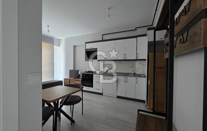 Seyrek Üniversite Yakını Sıfır ve Tam Eşyalı Kiralık Daire