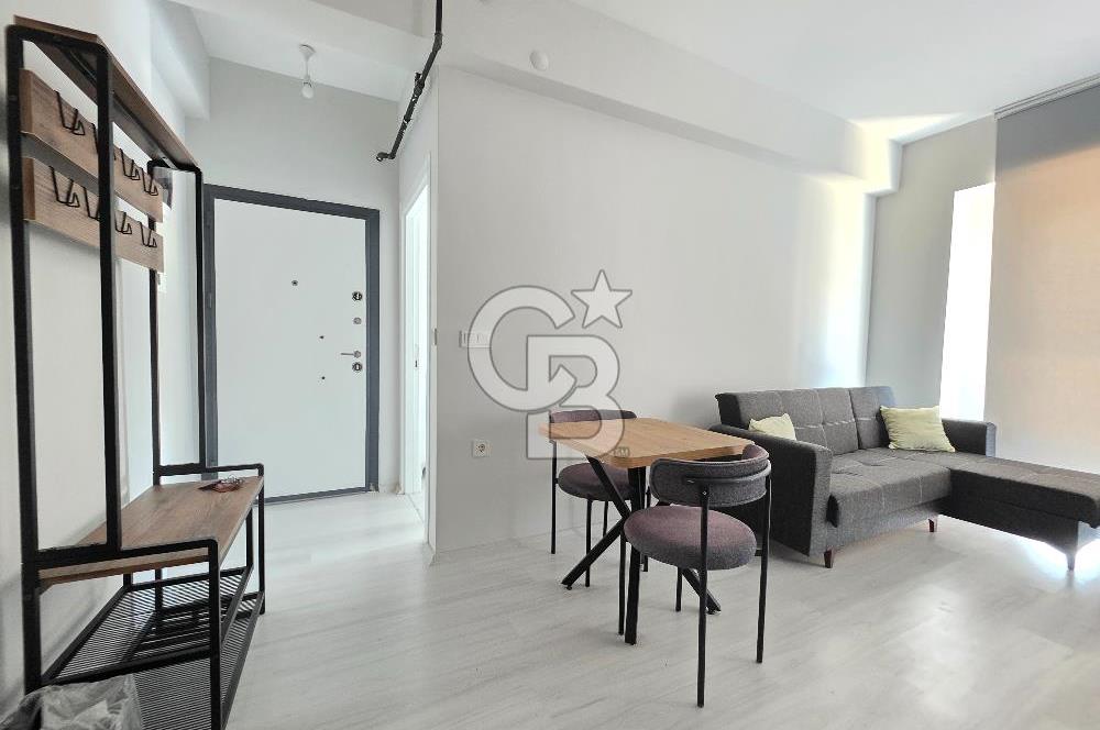 Seyrek Üniversite Yakını Sıfır ve Tam Eşyalı Kiralık Daire