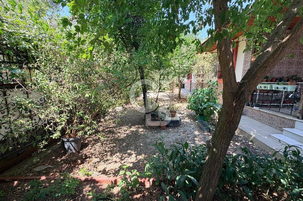 URLA UMUTKÖY ÇİFTLİK EVLERİNDE 1000 M2 SATILIK MÜSTAKİL EV 