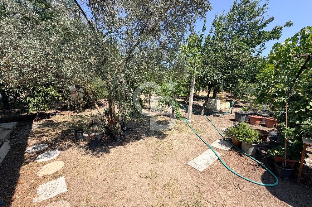 URLA UMUTKÖY ÇİFTLİK EVLERİNDE 1000 M2 SATILIK MÜSTAKİL EV 