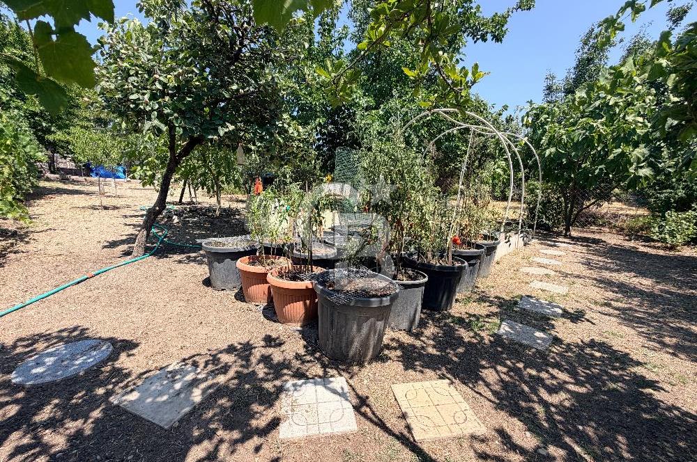 URLA UMUTKÖY ÇİFTLİK EVLERİNDE 1000 M2 SATILIK MÜSTAKİL EV 