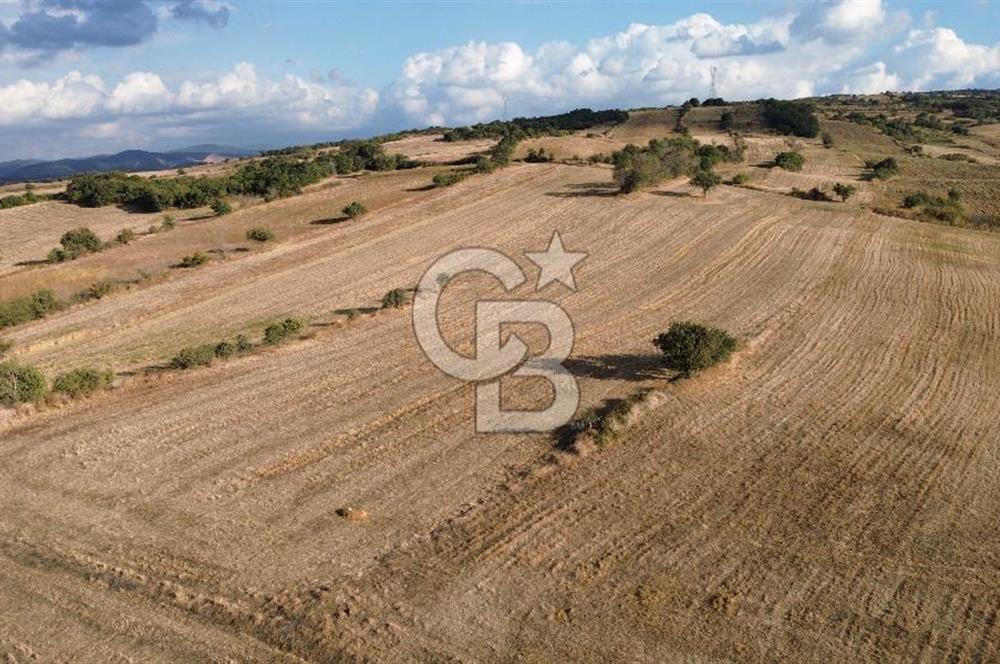Gazisüleymanpaşa mah.de Tamamı Köprü Manzaralı 3834m2 Arazi