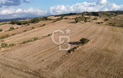 Gazisüleymanpaşa mah.de Tamamı Köprü Manzaralı 3834m2 Arazi