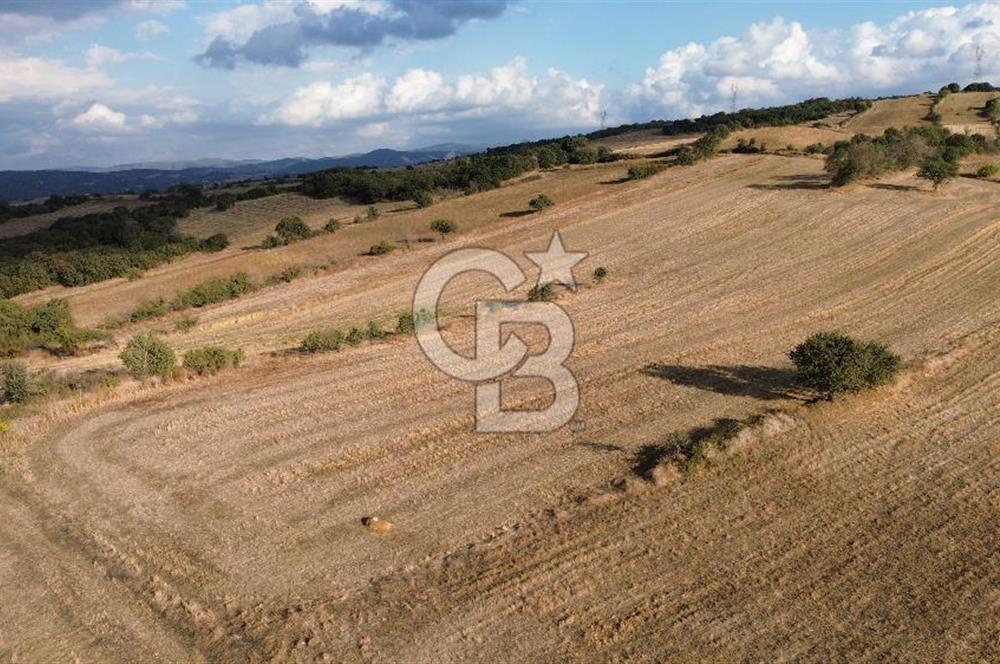 Gazisüleymanpaşa mah.de Tamamı Köprü Manzaralı 3834m2 Arazi