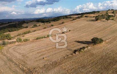 Gazisüleymanpaşa mah.de Tamamı Köprü Manzaralı 3834m2 Arazi