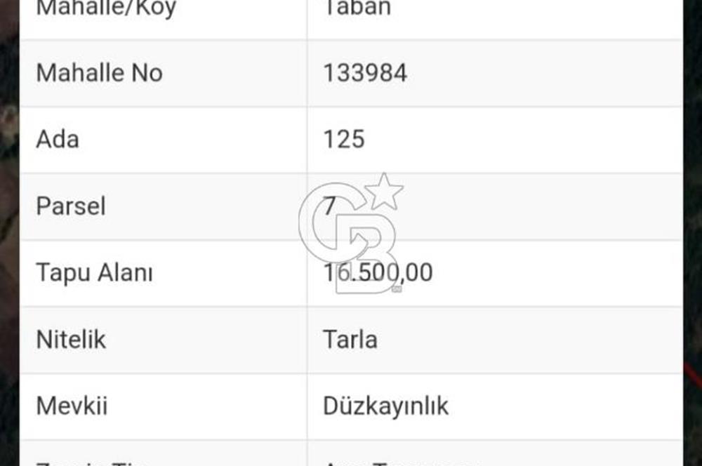 ÇANAKKALE YENİCE TABAN KÖYÜ SATILIK TEK TAPU ORMAN CEPHE TARLA