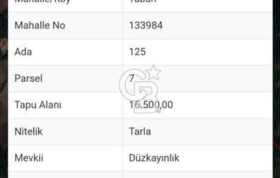 ÇANAKKALE YENİCE TABAN KÖYÜ SATILIK TEK TAPU ORMAN CEPHE TARLA