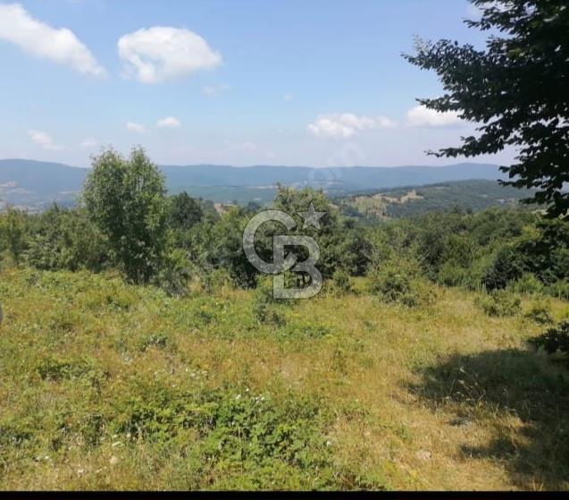 ÇANAKKALE YENİCE TABAN KÖYÜ SATILIK TEK TAPU ORMAN CEPHE TARLA