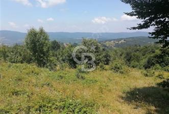 ÇANAKKALE YENİCE TABAN KÖYÜ SATILIK TEK TAPU ORMAN CEPHE TARLA - 3 - 360742