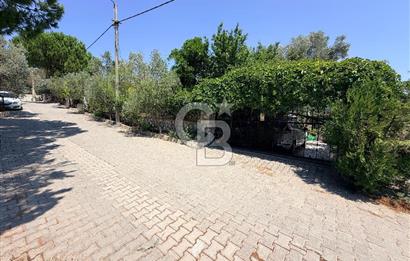 URLA UMUTKÖY ÇİFTLİK EVLERİNDE 1000 M2 SATILIK MÜSTAKİL EV 