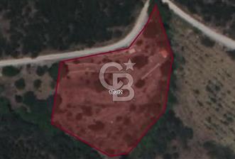 Osmanlar Köyünde Kadastral Yola Cephe 4.734 m² Satılık Kirazlık - 1 - 360733