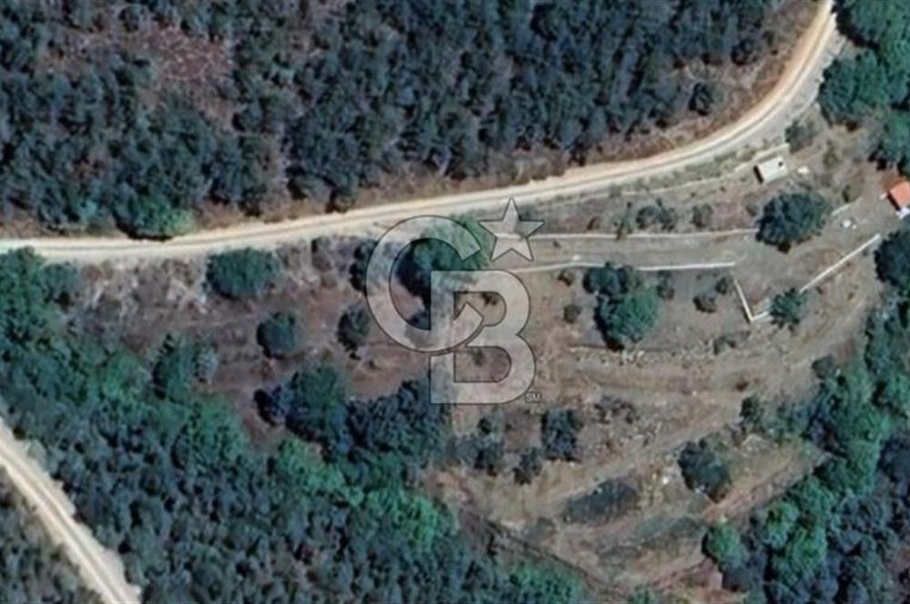 Osmanlar Köyünde Kadastral Yola Cephe 4.734 m² Satılık Kirazlık