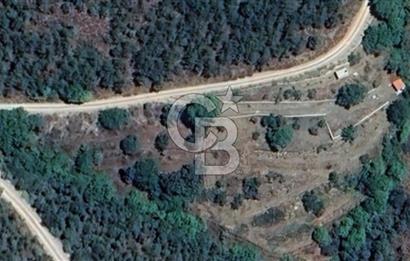 Osmanlar Köyünde Kadastral Yola Cephe 4.734 m² Satılık Kirazlık