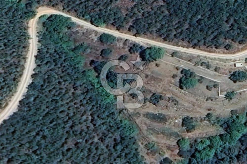 Osmanlar Köyünde Kadastral Yola Cephe 4.734 m² Satılık Kirazlık