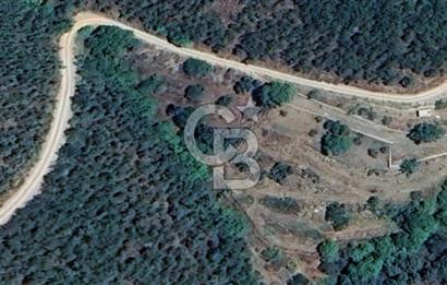 Osmanlar Köyünde Kadastral Yola Cephe 4.734 m² Satılık Kirazlık