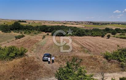 SATILIK! HAYRABOLU KADRİYE 4 ADET 287.5 m2 TARLA HİSSESİ.