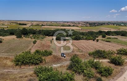 SATILIK! HAYRABOLU KADRİYE 4 ADET 287.5 m2 TARLA HİSSESİ.