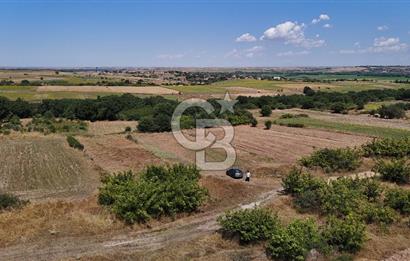 SATILIK! HAYRABOLU KADRİYE 4 ADET 287.5 m2 TARLA HİSSESİ.