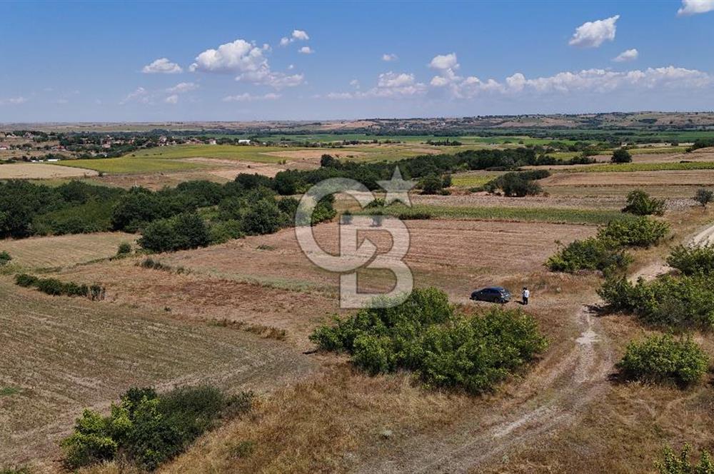 SATILIK! HAYRABOLU KADRİYE 4 ADET 287.5 m2 TARLA HİSSESİ.