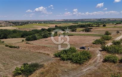 SATILIK! HAYRABOLU KADRİYE 4 ADET 287.5 m2 TARLA HİSSESİ.