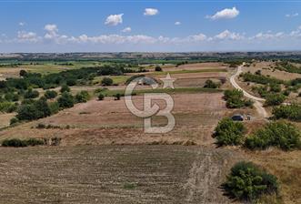 SATILIK! HAYRABOLU KADRİYE 4 ADET 287.5 m2 TARLA HİSSESİ. - 1 - 360816
