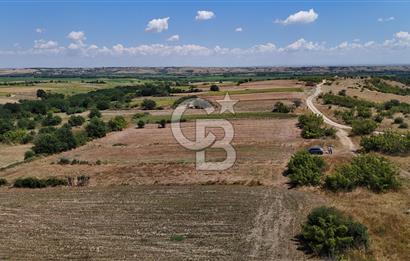 SATILIK! HAYRABOLU KADRİYE 4 ADET 287.5 m2 TARLA HİSSESİ.