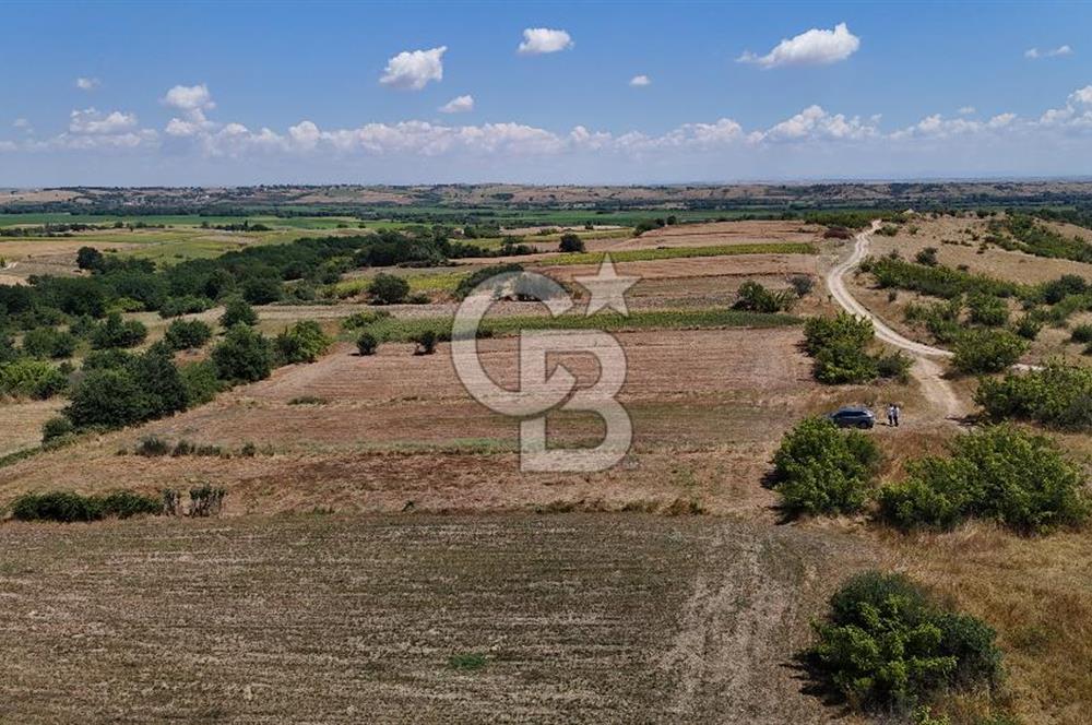 SATILIK! HAYRABOLU KADRİYE 4 ADET 287.5 m2 TARLA HİSSESİ.
