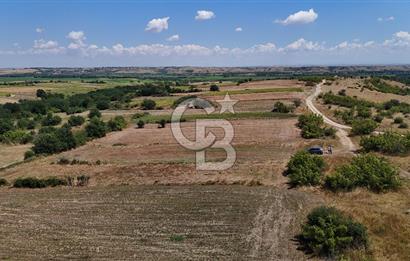 SATILIK! HAYRABOLU KADRİYE 4 ADET 287.5 m2 TARLA HİSSESİ.
