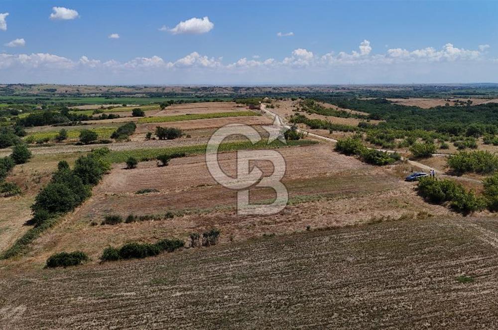 SATILIK! HAYRABOLU KADRİYE 4 ADET 287.5 m2 TARLA HİSSESİ.