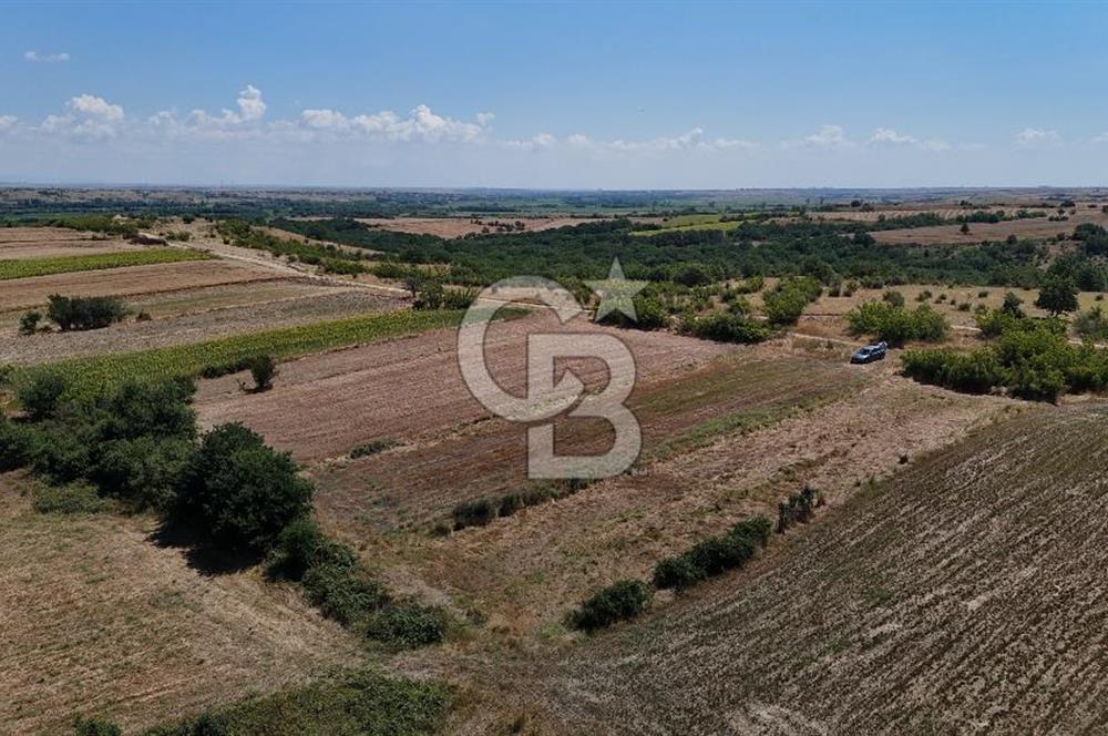 SATILIK! HAYRABOLU KADRİYE 4 ADET 287.5 m2 TARLA HİSSESİ.
