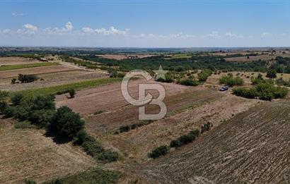 SATILIK! HAYRABOLU KADRİYE 4 ADET 287.5 m2 TARLA HİSSESİ.
