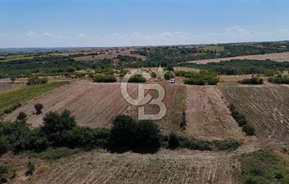 SATILIK! HAYRABOLU KADRİYE 4 ADET 287.5 m2 TARLA HİSSESİ.