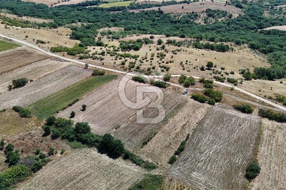 SATILIK! HAYRABOLU KADRİYE 4 ADET 287.5 m2 TARLA HİSSESİ.
