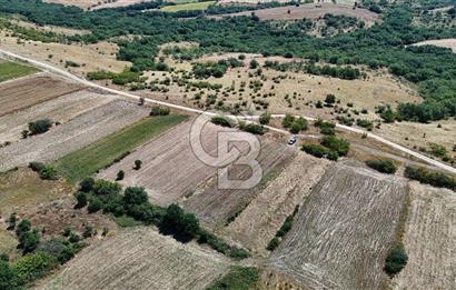 SATILIK! HAYRABOLU KADRİYE 4 ADET 287.5 m2 TARLA HİSSESİ.