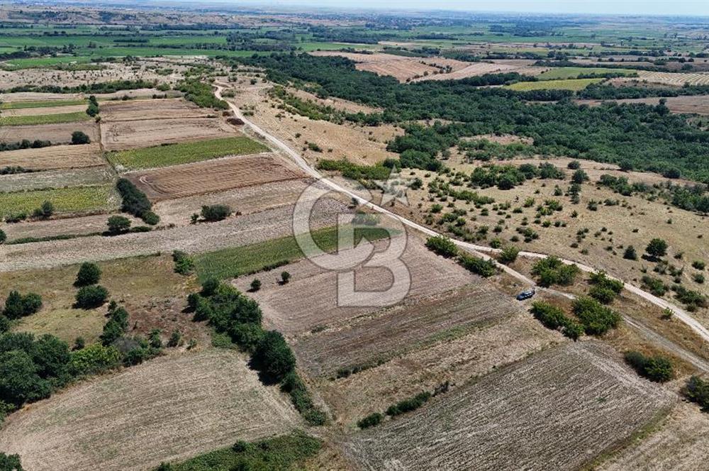 SATILIK! HAYRABOLU KADRİYE 4 ADET 287.5 m2 TARLA HİSSESİ.