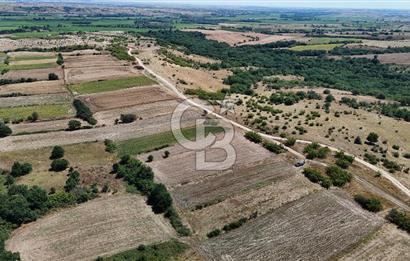 SATILIK! HAYRABOLU KADRİYE 4 ADET 287.5 m2 TARLA HİSSESİ.