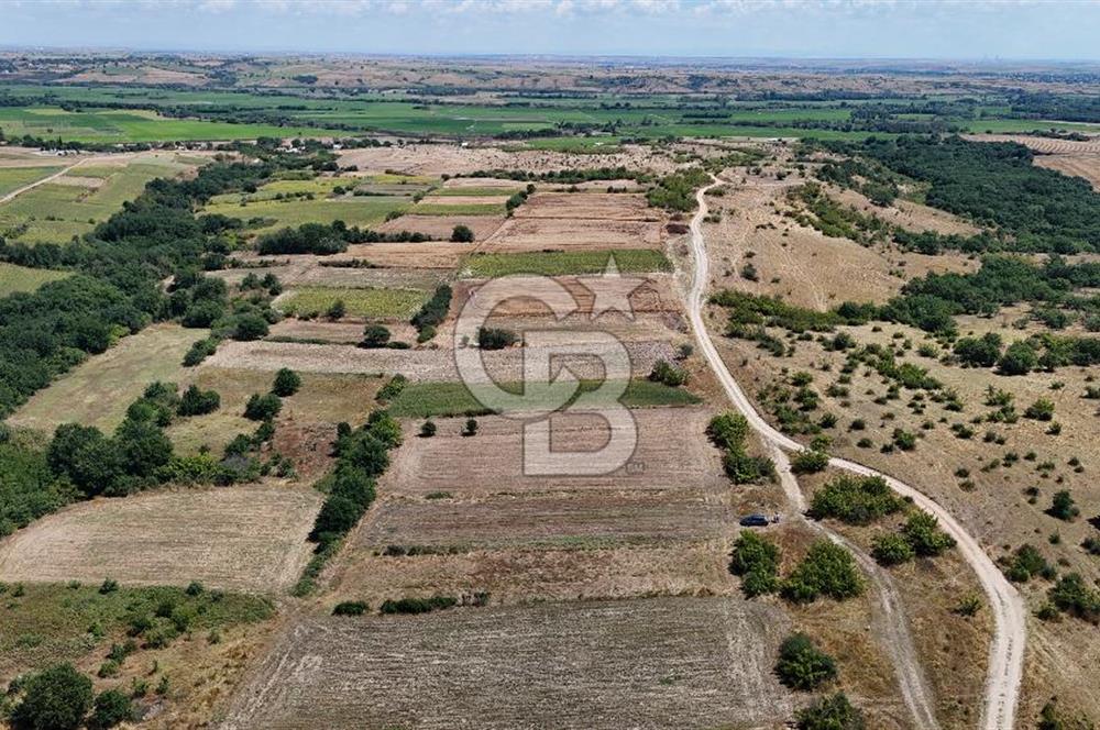 SATILIK! HAYRABOLU KADRİYE 4 ADET 287.5 m2 TARLA HİSSESİ.