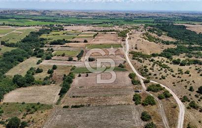 SATILIK! HAYRABOLU KADRİYE 4 ADET 287.5 m2 TARLA HİSSESİ.