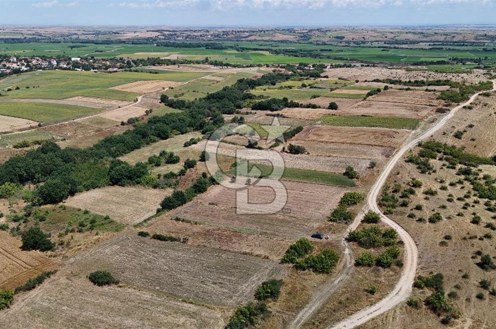 SATILIK! HAYRABOLU KADRİYE 4 ADET 287.5 m2 TARLA HİSSESİ.